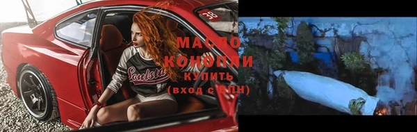 прущая мука Ельня