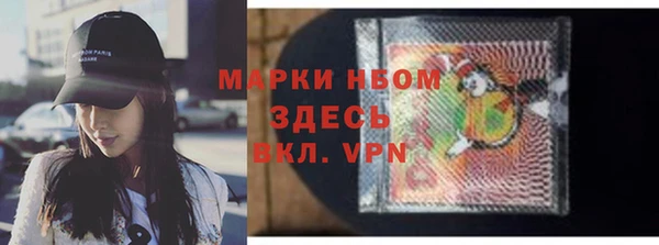 ECSTASY Елизово