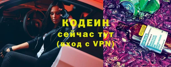 прущая мука Ельня