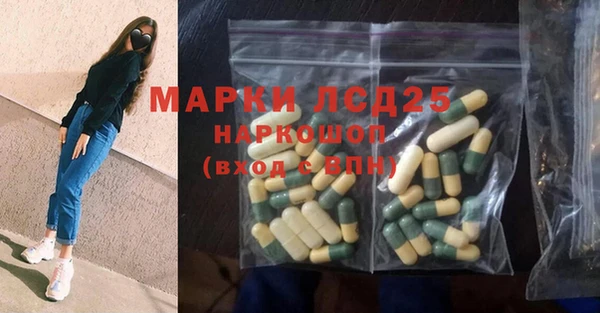 ECSTASY Елизово