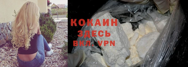 прущая мука Ельня